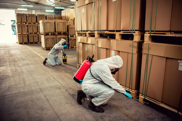 Reliable Penngrove, CA Pest Control Solutions