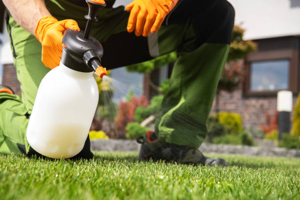 Best Best Pest Control Companies  in Penngrove, CA