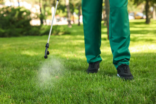 Best Mosquito Control Services  in Penngrove, CA