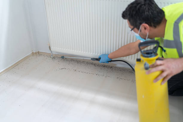 Best Flea Control Services  in Penngrove, CA