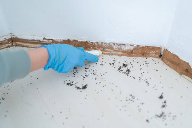 Best Commercial Pest Control Services  in Penngrove, CA