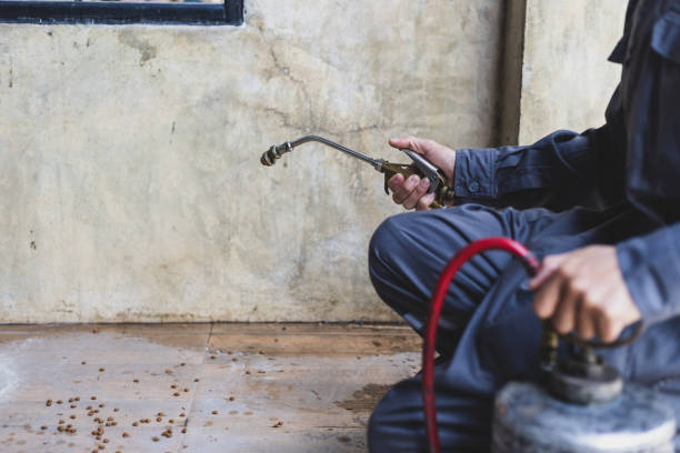 Best Pest Control Near Me  in Penngrove, CA