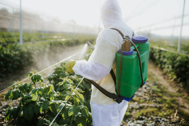 Best Emergency Pest Control  in Penngrove, CA